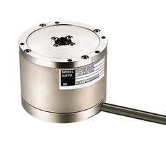Direct Drive Electric Motor